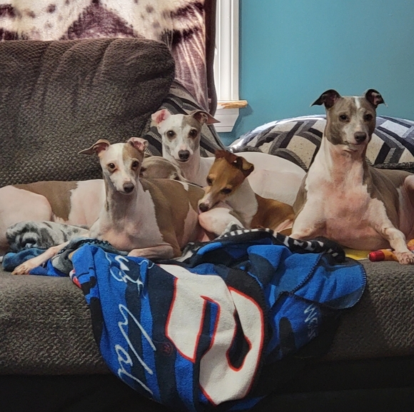 Meet your Posher, Sheyl - Picture 2 of 2